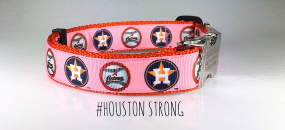 astros dog collar