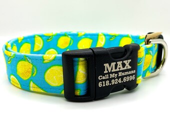 Bright Yellow Lemons on Turquoise- Summer Collar for Girl or Boy Dog - Personalization available-Metal or Plastic Buckle Small-Medium-Large