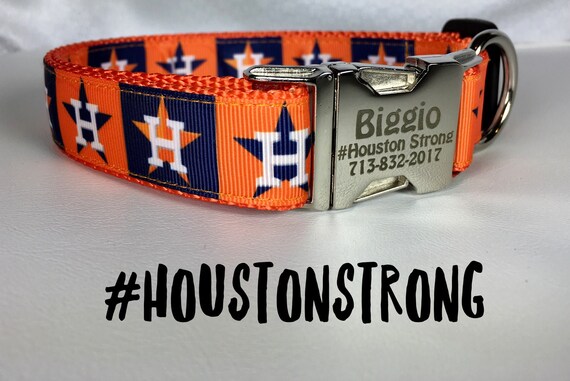 astros dog collar