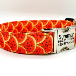 Watermelon Dog Collar Small Medium Large or Extra Large Dog Breeds - Personalization Available - Summer Dog Collar - Watermelon Collar