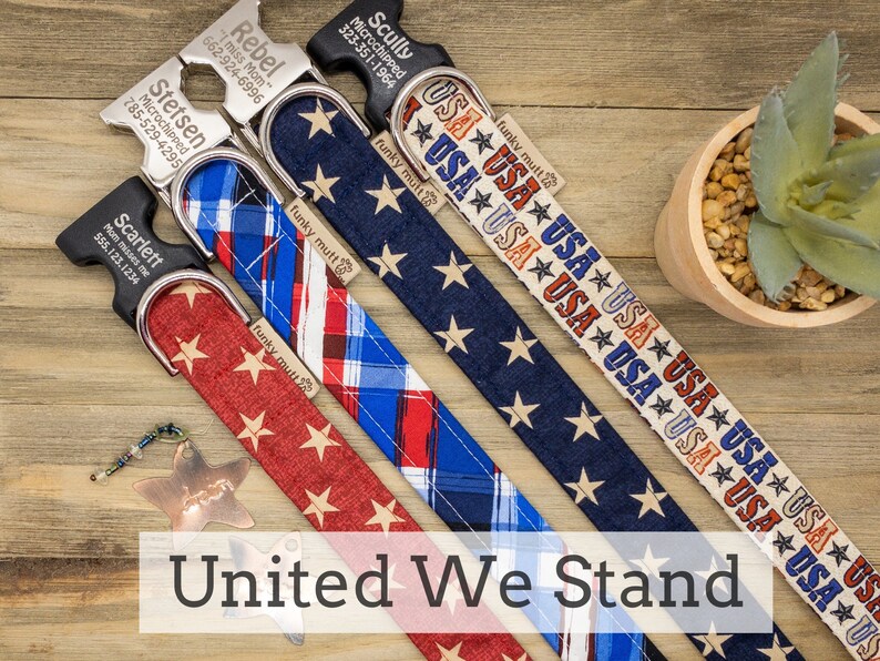 USA Patriotic Collar with Braces Set Stars and Stripes