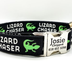 May include: Black dog collar with the words "Lizard Chaser" in white and green lizard graphics. The collar has a silver metal buckle with the name "Josie" and a phone number.