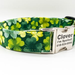 Irish Green Clover St. Patrick's Day Dog Collar - Luck of the Irish Dog Collar- Bailey Dog Collar - Personalization Optional - Irish Creme