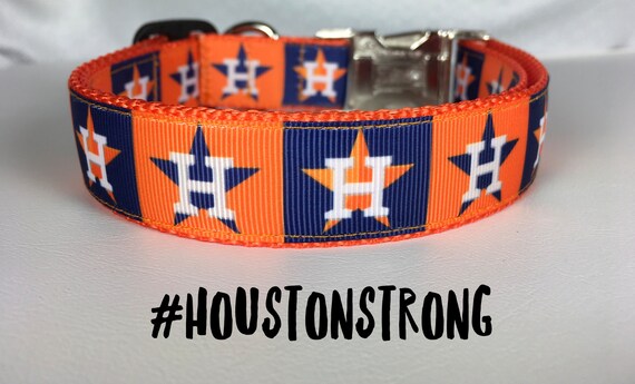 astros dog collar