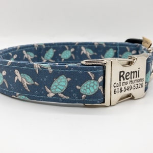 Sea Turtle Dog Collar - Unisex - Sea Life - Ocean Life - Summer Collar - Made in the USA - Gift for Sea Turtle Lover