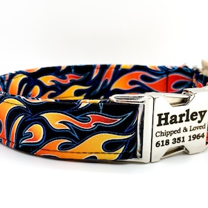 May include: A black dog collar with a silver buckle. The collar has a flame pattern in orange, yellow, and blue. The buckle is engraved with the text "Harley, Chipped & Loved, 618 351 1964".