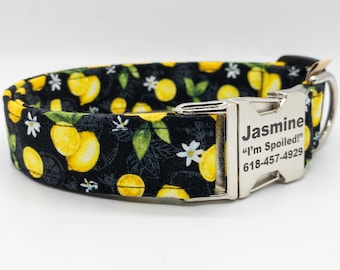 Lemons on Black- Summer Collar for Girl or Boy Dog - Personalization available-Metal or Plastic Buckle - You pick size; Small-Medium-Large