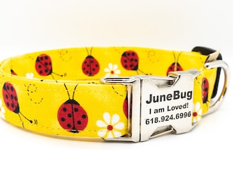 Lady Bug Dog Collar - Sweet Summer Collar for Small Medium Large or Extra Large Dog Breeds - Personalization Available - Cute Summer Collar