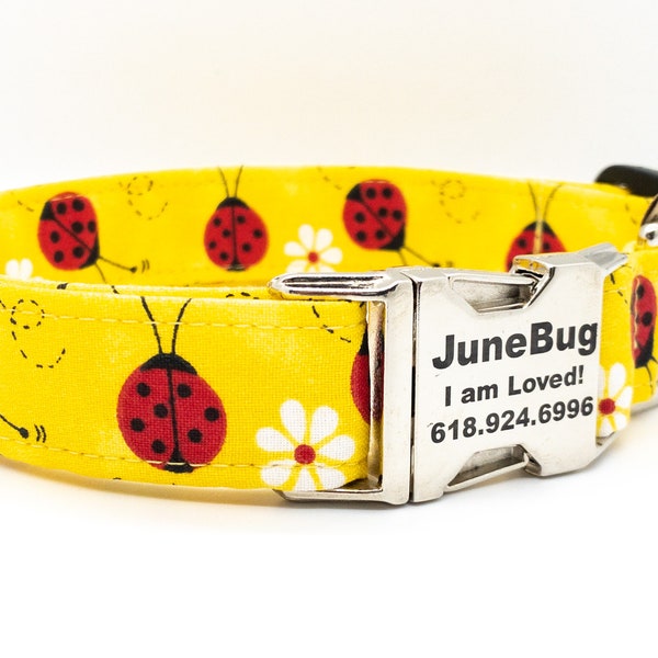 Lady Bug Dog Collar - Sweet Summer Collar for Small Medium Large or Extra Large Dog Breeds - Personalization Available - Cute Summer Collar