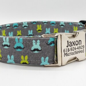 Mr. Bunny Easter Collar - Turquoise Bunny on Gray Background with Mustache Dog Collar - Plastic and Metal Personalized Buckles
