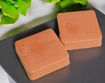 Beach Please Shampoo Bar
