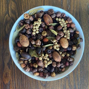 Puede incluir: Un cuenco blanco lleno de una variedad de elementos botánicos secos, incluyendo vainas de semillas, bayas y hojas. El arreglo presenta una mezcla de elementos marrones, beige y verdes, creando una estética natural y terrosa. El cuenco está sobre una superficie de madera.