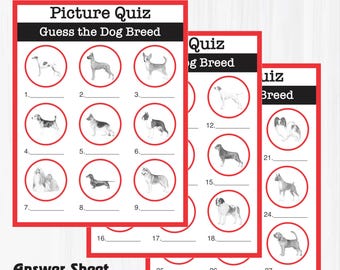 Breed Identification Quiz Guess The Dog Breed Dog Breed Picture