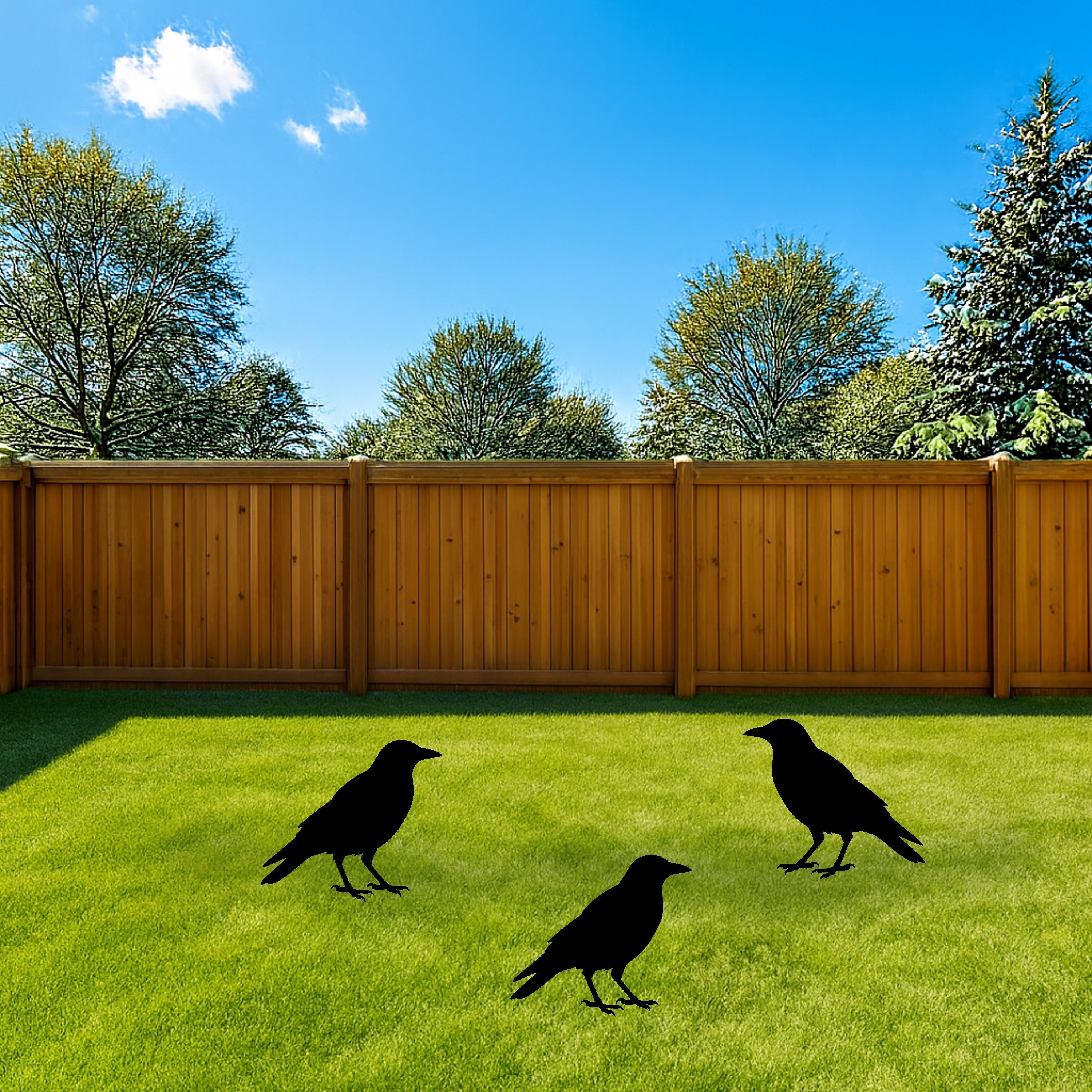 Crow Raven Bird Silhouette Template | Halloween and Farmhouse Decor ...