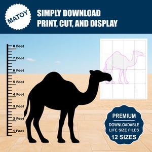 Puede incluir: Silueta negra de un camello sobre un fondo desértico, con una tabla de altura a la izquierda. La imagen incluye el texto «SIMPLY DOWNLOAD, PRINT, CUT, AND DISPLAY» y «DOWNLOADABLE LIFE SIZE FILES, 12 SIZES».