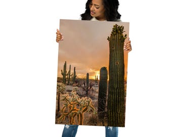 Saguaro Sunset Photo Poster