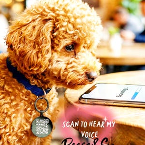 May include: A curly-haired, brown dog wearing a blue collar and a black tag with a QR code. A smartphone displays a "Scanning..." progress bar. Text on the image reads "Scan to hear my voice" and "Reese & Si".