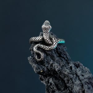 May include: A silver snake ring with a coiled design. The ring is on a dark gray rock.