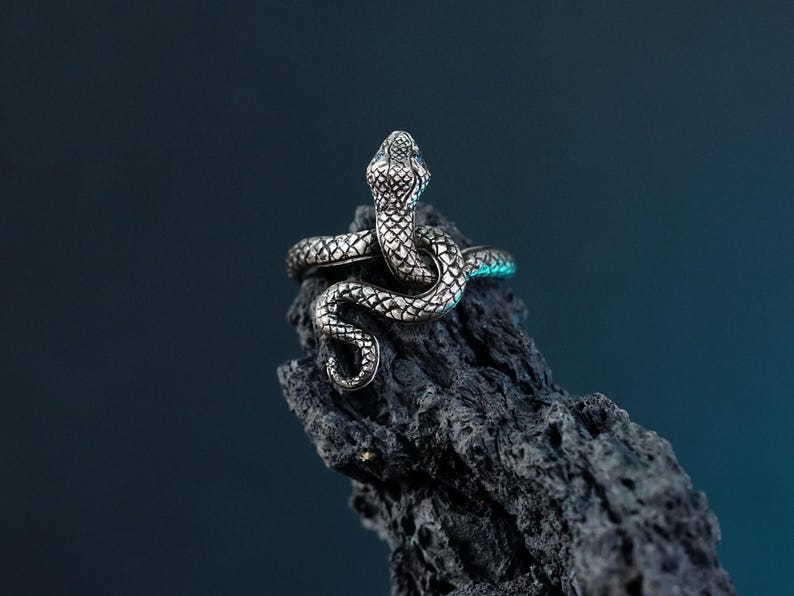 May include: A silver snake ring with a coiled design. The ring is on a dark gray rock.