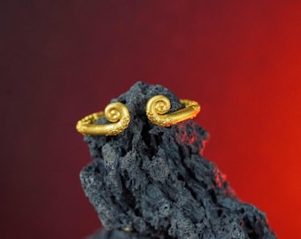 May include: Two gold-colored rings with a spiral design, resting on a dark, textured rock. The rings have intricate detailing and a shiny finish. The background is a gradient of red and black.