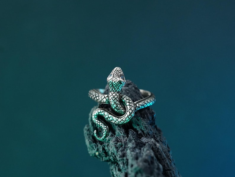 EXCLUSIVE Fanmade Dark Souls - Covetous Silver Serpent Ring, Custom 950 Silver Handmade Rings, Includes Calamity Ring and Ring of Favor image 1