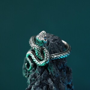 May include: A silver snake ring with a green and blue enamel finish. The ring is on a dark gray rock.