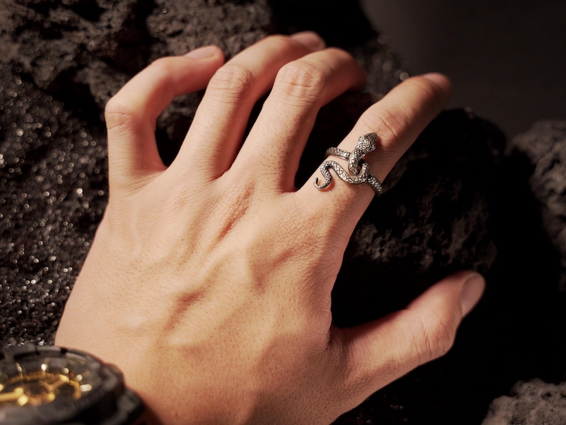 May include: A silver snake ring with a coiled body and a raised head. The ring is worn on the index finger of a hand.
