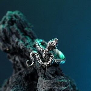 May include: A silver snake ring with a detailed design, resting on a dark gray rock against a blue background.
