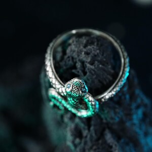 May include: A silver snake ring with a detailed design. The ring is set against a dark background.