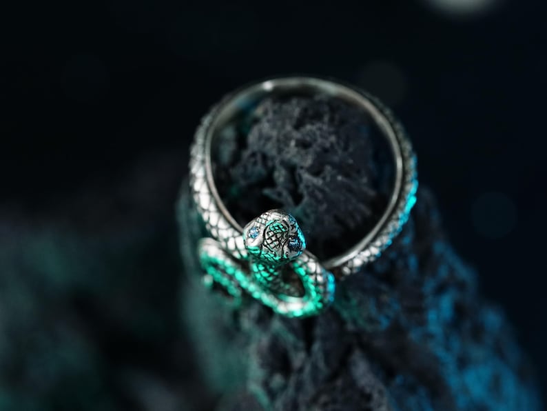 May include: A silver snake ring with a detailed design. The ring is set against a dark background.