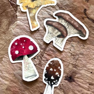 Set of 4 Mixed Media Mushroom Stickers Decals