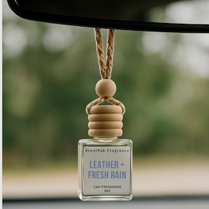 Leather Rain Car Air Freshener: Refillable Fragrance Diffuser