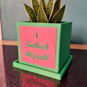 May include: A green square planter with a pink front panel that reads "I Soiled Myself" in green letters. The planter holds a snake plant with green and yellow striped leaves. The planter sits on a matching green tray.