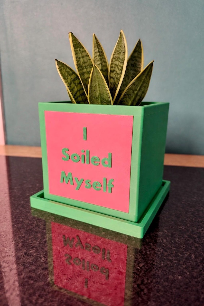 May include: A green square planter with a pink front panel that reads "I Soiled Myself" in green letters. The planter holds a snake plant with green and yellow striped leaves. The planter sits on a matching green tray.