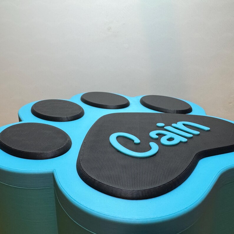 Small paw print keepsake box with a removable magnetic lid, designed for pet ashes or mementos. Holds approx. 170ml, ideal for small pets like cats, rabbits, or toy breed dogs. Custom name engraving included. Thoughtful pet loss gift for remembrance.