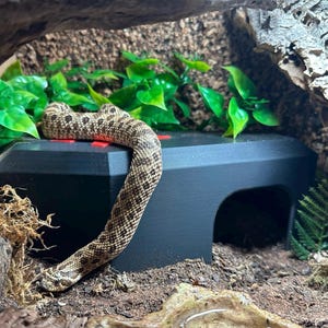 A hognose snake slithers over a black 3D-printed gothic-style coffin reptile hide with a red cross on top. The hide sits in a naturalistic terrarium setup with textured bark, artificial greenery, and mossy substrate.