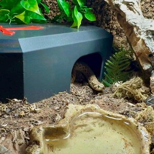 A gothic-style 3D-printed coffin reptile hide with a red cross sits in a terrarium, surrounded by moss, bark, and artificial plants. A snake has slithered into the hide, with a small decorative tombstone nearby adding to the spooky aesthetic.