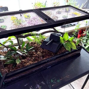 May include: A rectangular glass terrarium with a black metal frame and a dual-hinged mesh lid. Inside, the enclosure features brown substrate, green leafy plants, a wooden branch, and a black toy tank model positioned among the foliage.