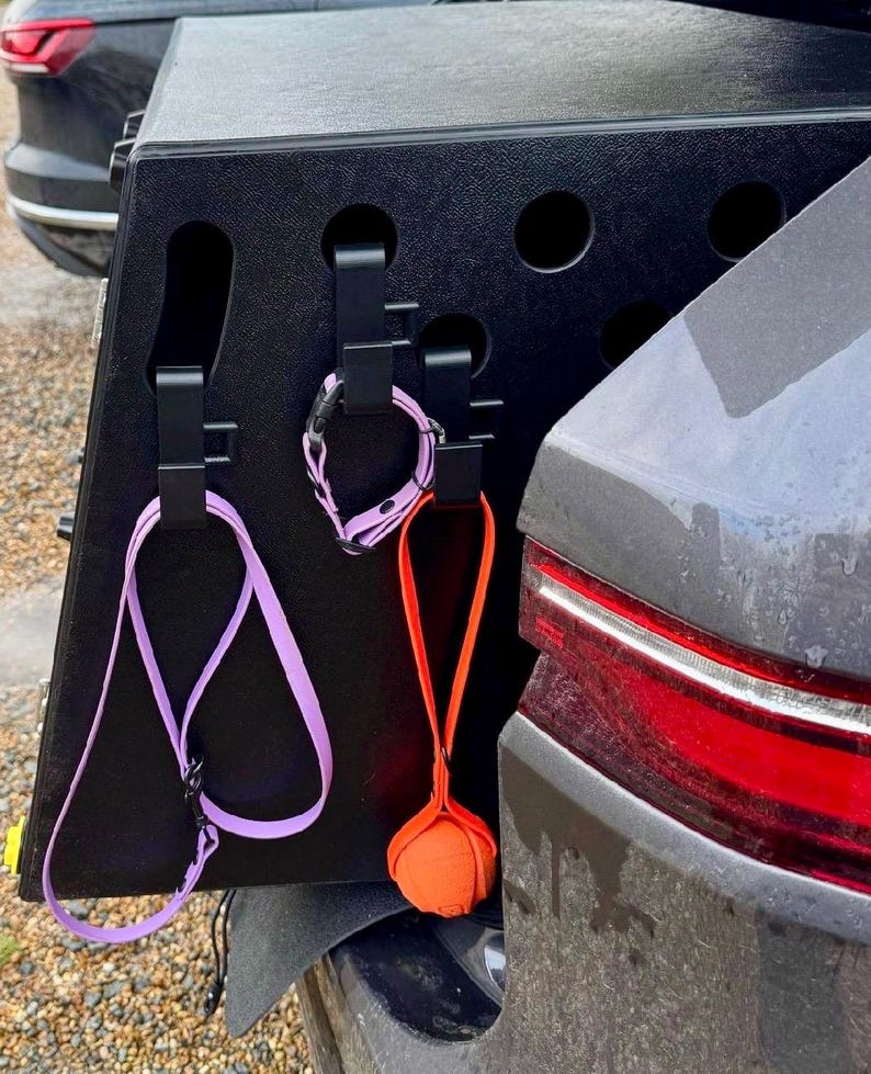 3 3D-printed hooks attached to the exterior of a DT dog crate, holding a purple lead, a matching collar, and an orange ball on a strap. The design keeps pet accessories tidy and easily accessible for outdoor use.