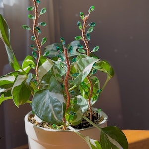 May include: A houseplant in a white pot, featuring green and white variegated leaves. Copper wire stems are decorated with green crystal embellishments. The plant is on a wooden surface. The pot is approximately 15 cm in diameter.