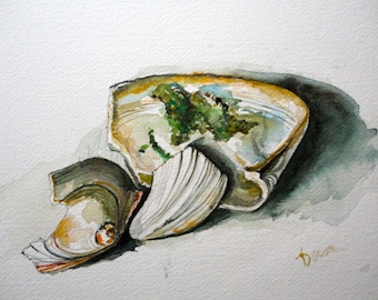 Three Seashells Original Watercolor Still Life