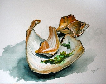 Seashell Bits Original Watercolor Still Life Painting