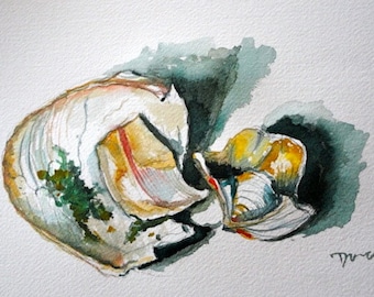 Beach Shells-Original Watercolor Painting Still Life 8x12