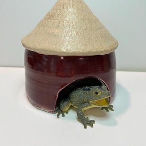 May include: A ceramic house-shaped container with a burgundy base and a tan, conical lid. A green and yellow frog figurine is emerging from the opening. The container has a rustic, handmade appearance.