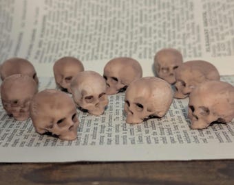 Può includere: Una collezione di piccole statuette a forma di teschio color beige con finitura opaca disposte in gruppo. Ogni teschio presenta orbite dettagliate, una cavità nasale e una mascella definita, mostrando una struttura anatomica realistica in scala ridotta.