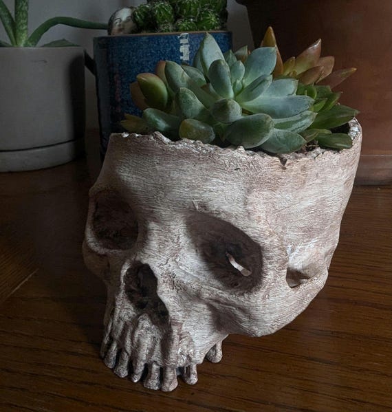 Anatomical Skull Planter | Hand-Stained Aged Bone Gothic Decor
