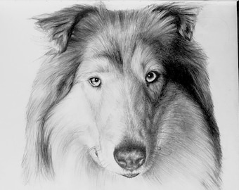 Hand-Drawn Custom Pet Portrait - Graphite on 8x11” Paper