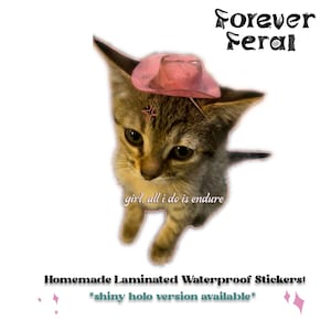 Chica, todo lo que hago es aguantar, pegatina de gatito vaquero, salvaje, pegatina de aguantar, vaquera rosa divertida, pegatina de gato, impermeable, pegatina de gatito