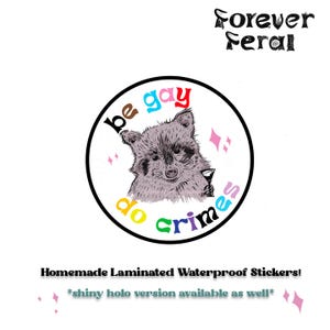 Sticker Be Gay Do Crime, Sticker drôle, Sticker holographique brillant, Sticker raton laveur, stupide, imperméable, Sticker LGBTQ+, Sticker résistant aux UV