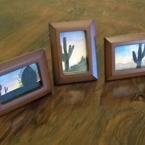 Three Watercolor Miniature Cactus Paintings Framed image 4